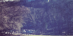 Beitragsbild des Blogbeitrags Im Wildpark Ernstbrunn
