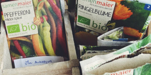 Beitragsbild des Blogbeitrags Im Januar das neue Balkongartenjahr planen