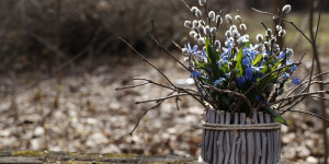 Beitragsbild des Blogbeitrags Ostara, die Frühjahrstagundnachtgleiche oder einfach nur den Frühlingsbeginn feiern 