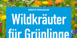 Beitragsbild des Blogbeitrags E-Book-Vorstellung: „Wildkräuter für Grünlinge“ 