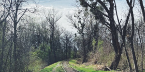 Beitragsbild des Blogbeitrags Ausflug zur Lobau
