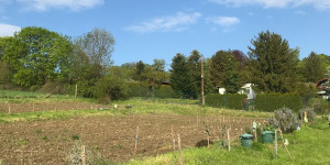 Beitragsbild des Blogbeitrags Im Selbsternte-Garten tut sich was!