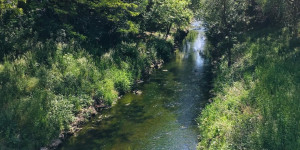 Beitragsbild des Blogbeitrags Liesingbach