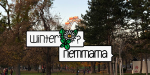 Beitragsbild des Blogbeitrags Zweite Grätzltour, zwei Rezepte. Winterkräuter? nemmama!