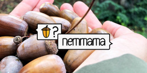 Beitragsbild des Blogbeitrags Erste Grätzltour, erstes Rezept: Eichelkaffee? nemmama!