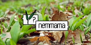Beitragsbild des Blogbeitrags Vierte Grätzltour: Bärlauch Maki? nemmama!