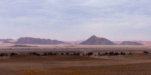 Beitragsbild des Blogbeitrags Namib Wüste 
