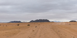 Beitragsbild des Blogbeitrags Mirabilis