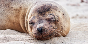 Beitragsbild des Blogbeitrags Ein Hauch vom Paradies…