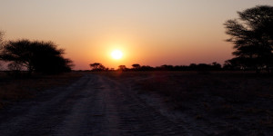 Beitragsbild des Blogbeitrags Kalahari