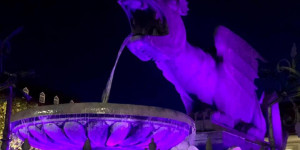 Beitragsbild des Blogbeitrags Pacults Warnung am Beispiel Maierhofer! Abschied für Zellhofer und Baumgartner