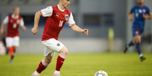 Beitragsbild des Blogbeitrags Demirs Lobeshymnen auf Werner Gregoritsch nach 2:0