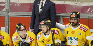 Beitragsbild des Blogbeitrags Vienna Capitals als Großbaustelle im Eishockey: Kommt der neue Trainer aus Bozen? 