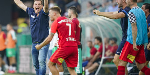 Beitragsbild des Blogbeitrags Rapid machte Herzog ein Geschenk: 13 Punkte hinter Salzburg!