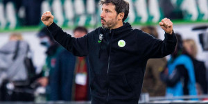 Beitragsbild des Blogbeitrags Trainerwechsel bei Wolfsburg: Wer folgt auf van Bommel gegen Salzburg? 