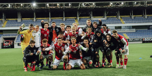 Beitragsbild des Blogbeitrags Das magische Gregoritsch-Dreieck: Demir, Schmid, Junior Adamu
