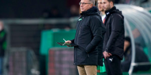 Beitragsbild des Blogbeitrags Canadi als Altachs Sündenbock: Warum musste nicht auch der Sportchef gehen?
