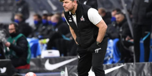 Beitragsbild des Blogbeitrags Schaub und Kainz: Köln „entdeckt“ die Flügelzange aus Österreich 