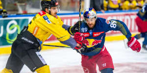 Beitragsbild des Blogbeitrags Noch ein Legionär aus Kanada: Die Vienna Capitals rüsten auf 