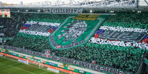 Beitragsbild des Blogbeitrags Erstmals über 20.000 Mitglieder: Rapids größter Erfolg der letzten Jahre