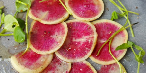 Beitragsbild des Blogbeitrags Carpaccio vom pinken Rettich