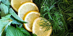 Beitragsbild des Blogbeitrags Cola-Minz-Sirup