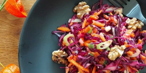Beitragsbild des Blogbeitrags Rotkrautsalat