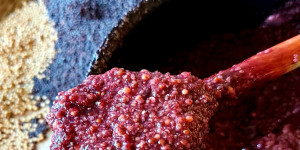Beitragsbild des Blogbeitrags Zwetschken-Brombeer-Senf