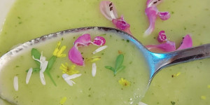 Beitragsbild des Blogbeitrags Lauch-Kresse-Süppchen