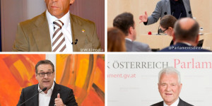 Beitragsbild des Blogbeitrags Strache, Pilz, Stronach & Co : Das Drehbuch der Politrebellen! 