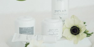 Beitragsbild des Blogbeitrags Meine aktuelle Pflege: Die Ziaja Ziegenmilch Linie
