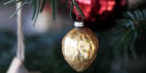 Beitragsbild des Blogbeitrags Nachhaltige Weihnachten: Christbaum mieten 