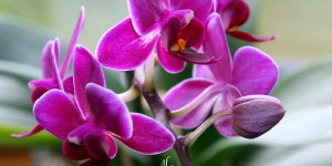 Beitragsbild des Blogbeitrags Sunday Mood 