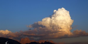 Beitragsbild des Blogbeitrags Sunday Mood 