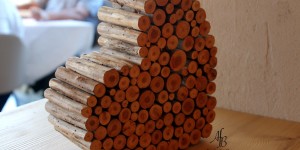 Beitragsbild des Blogbeitrags Sunday Mood 