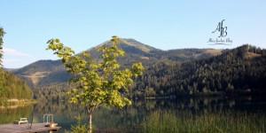 Beitragsbild des Blogbeitrags Ohne Sport geht nichts! 