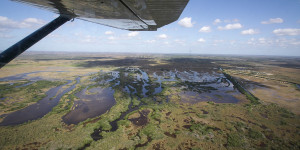 Beitragsbild des Blogbeitrags Everglades National Park 