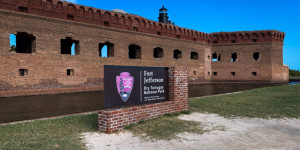 Beitragsbild des Blogbeitrags Dry Tortugas National Park
