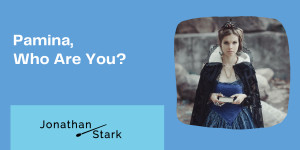 Beitragsbild des Blogbeitrags Pamina, Who Are You?