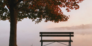Beitragsbild des Blogbeitrags Lieblingsnovember!