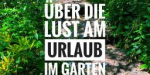 Beitragsbild des Blogbeitrags Die Wildbienen Deutschlands: Eine Buchvorstellung zum Internationalen Tag der Biene