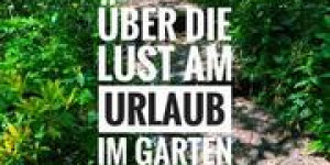 Beitragsbild des Blogbeitrags Tulpenzwiebel im Herbst setzen