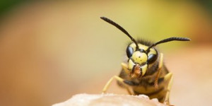 Beitragsbild des Blogbeitrags Wenn der Garten zur Laufmeile wird: Erinnerungen einer Garten-Läuferin