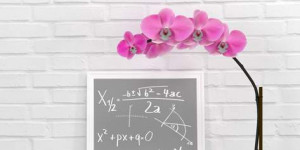 Beitragsbild des Blogbeitrags 9 gute Gründe, Orchideen in Wasser zu kultivieren