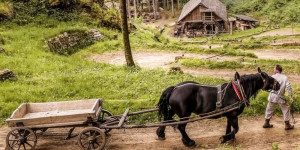 Beitragsbild des Blogbeitrags Burgbau zu Friesach