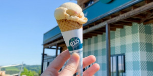 Beitragsbild des Blogbeitrags Eis, Eis, Eis Greissler: Vom Land in die Stadt und umgekehrt