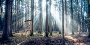 Beitragsbild des Blogbeitrags The impact of social media on our society – how can the hunt stand its ground communicatively?