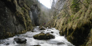 Beitragsbild des Blogbeitrags Preinbach 2021