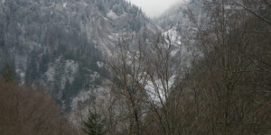 Beitragsbild des Blogbeitrags Schwarza 2021