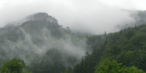 Beitragsbild des Blogbeitrags Schwarza 2021.03